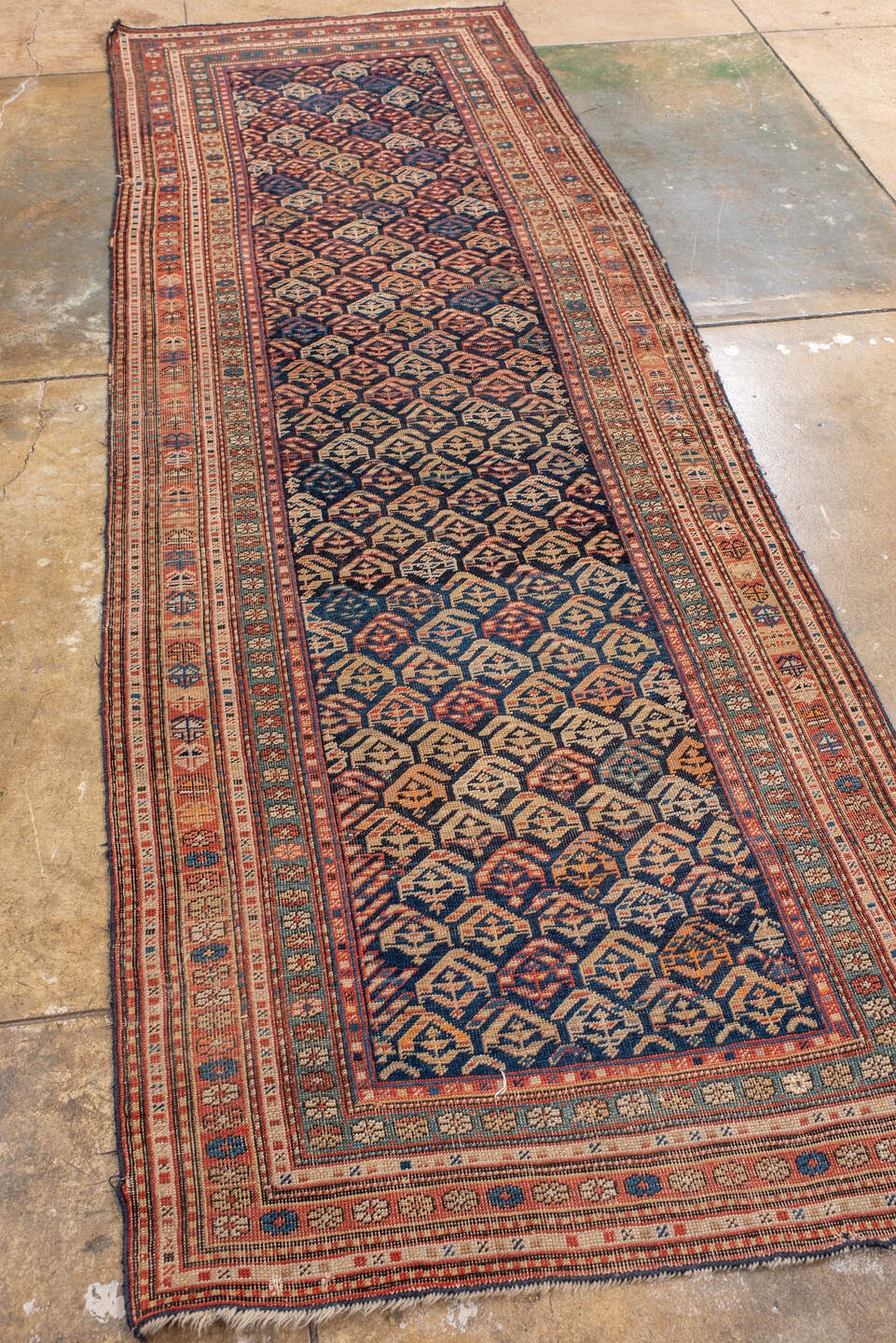 shirvan Runner - # 128359