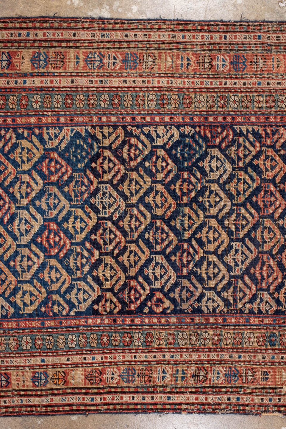 shirvan Runner - # 128359