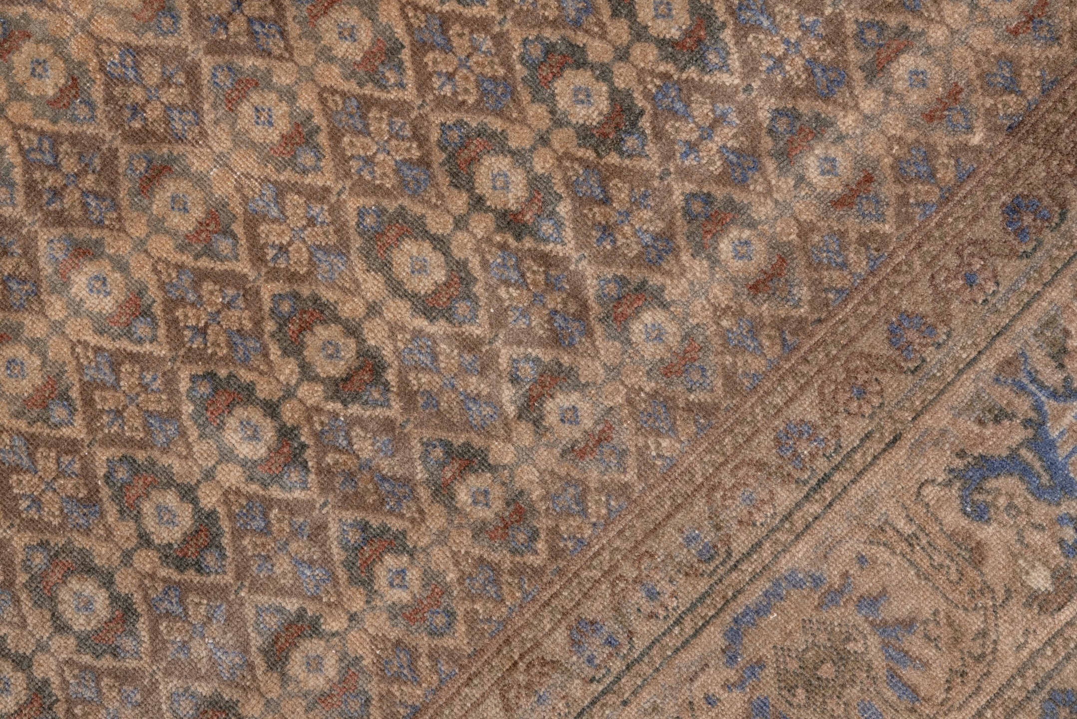 sivas Rug - # 126251