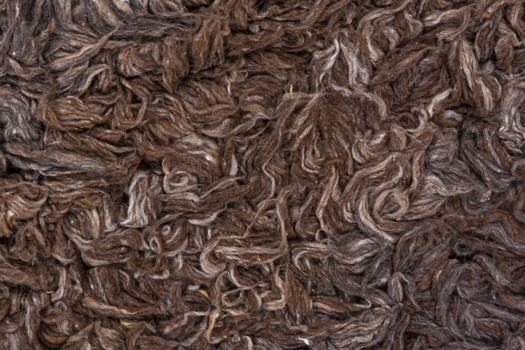 tulu Rug - # 127262