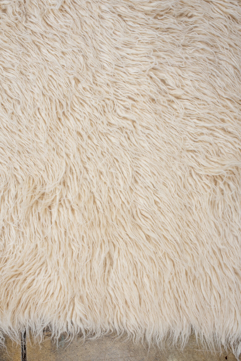 tulu Rug - # 127291