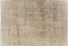 joshegan Carpet - # 107727