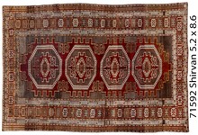 shirvan Rug - # 127704