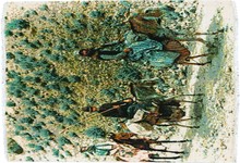 tabriz Rug - # 108667