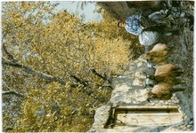 tabriz Rug - # 108668